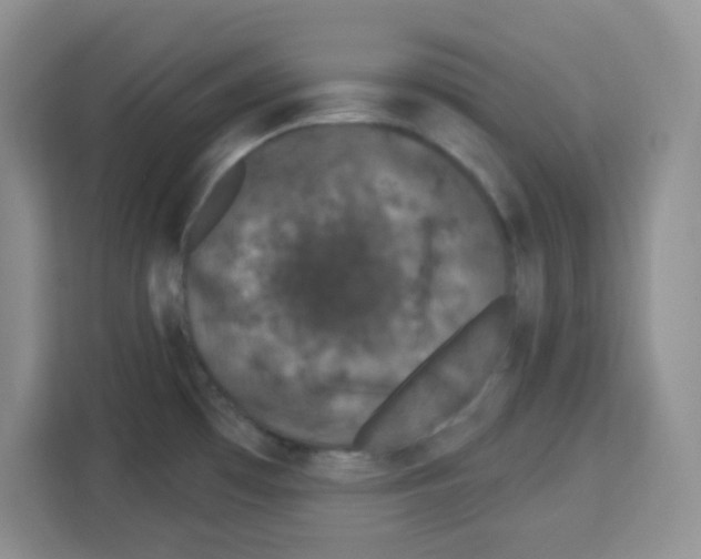 X0000113271481200910221049