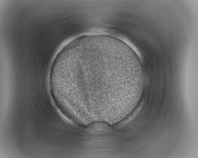 X0000113271485200910221049