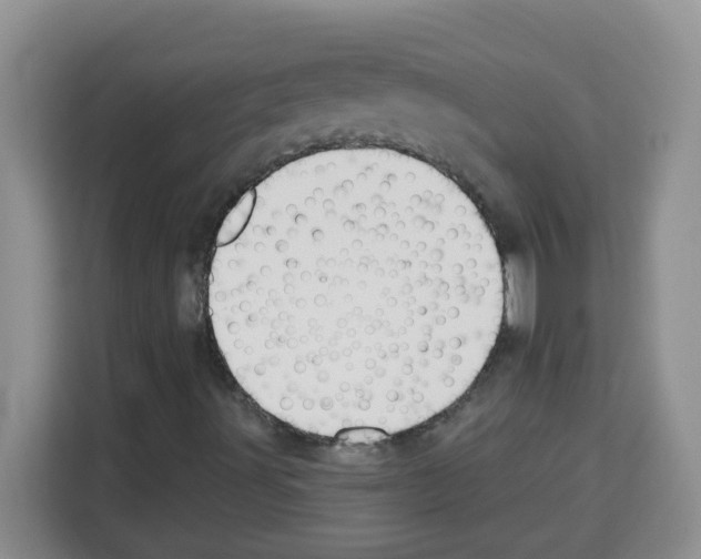 X0000113271491200910221048