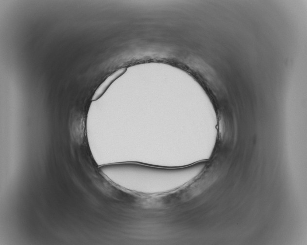 X0000113271492200910221048