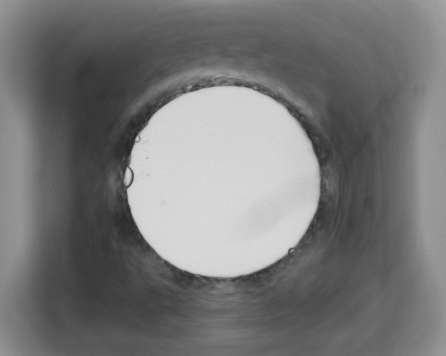 X0000113271495200910221048