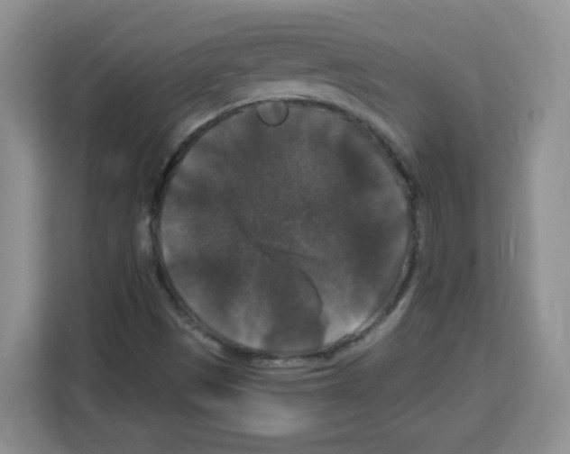 X0000113271497200910221048