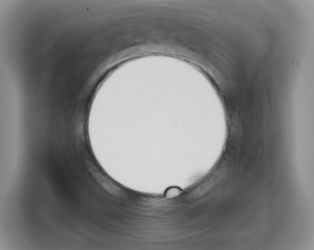 X0000113271499200910221048