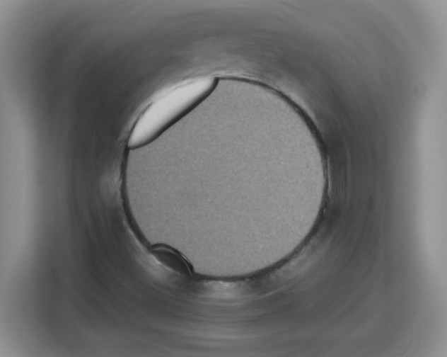 X0000113271500200910221048