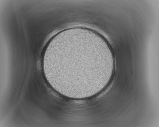 X0000113271501200910221048