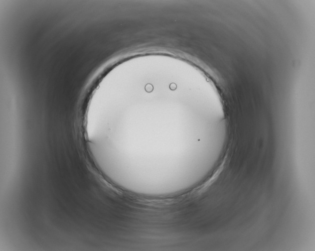 X0000113271502200910221048