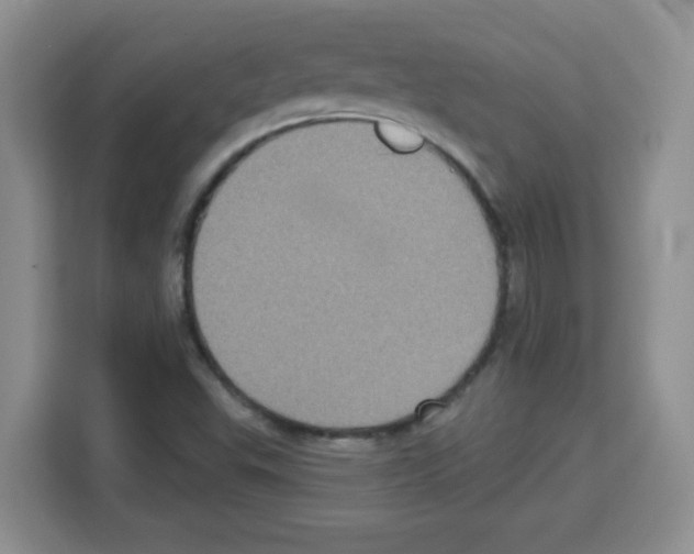 X0000113271503200910221049