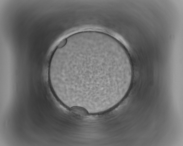 X0000113271504200910221049