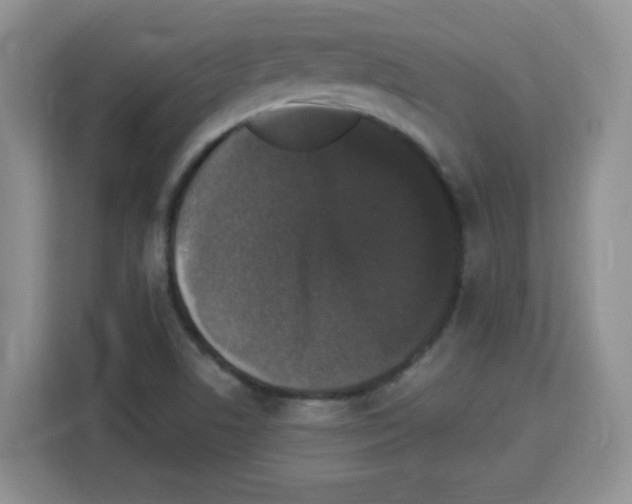 X0000113271506200910221049