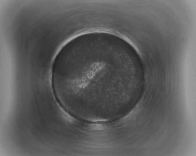 X0000113271508200910221049