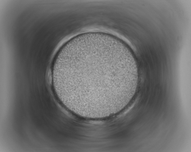 X0000113271509200910221049