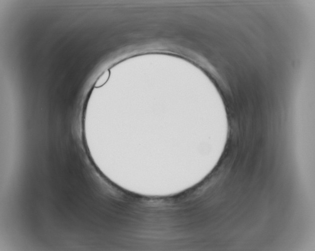 X0000113271512200910221049