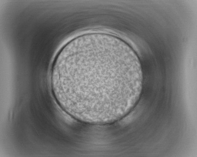 X0000113271514200910221049