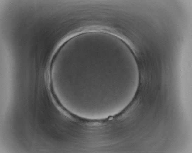 X0000113271515200910221049