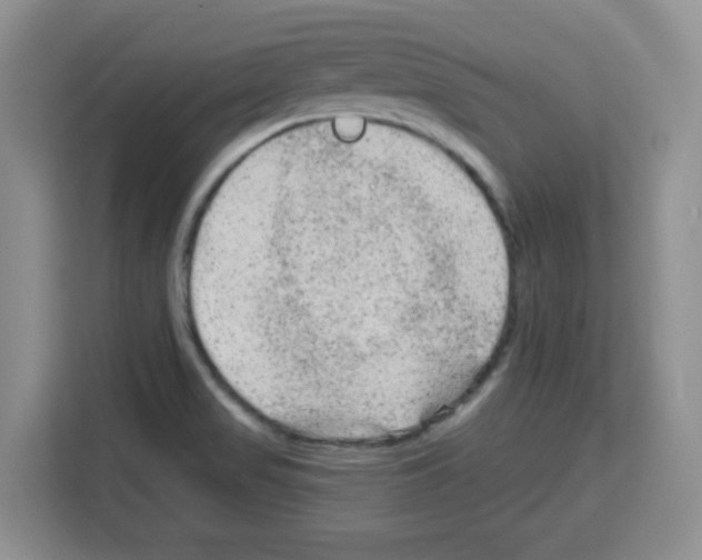 X0000113271517200910221049