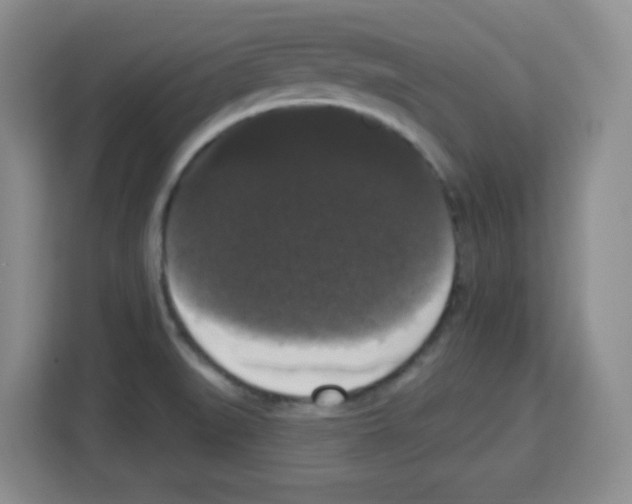 X0000113271519200910221049