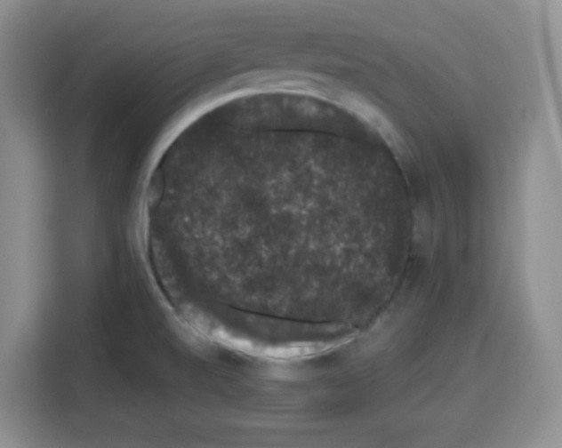 X0000113271520200910221049