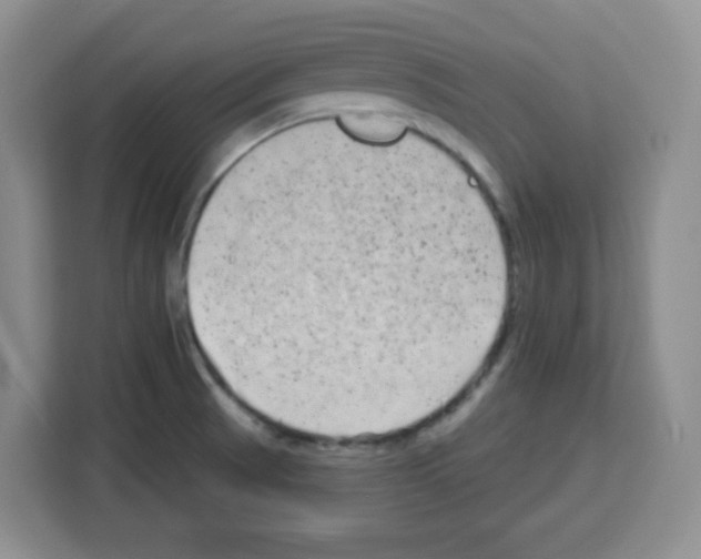 X0000113271521200910221049