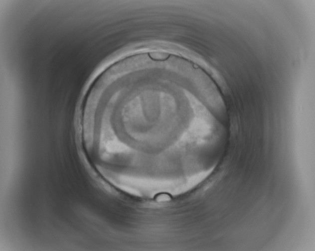 X0000113271522200910221049