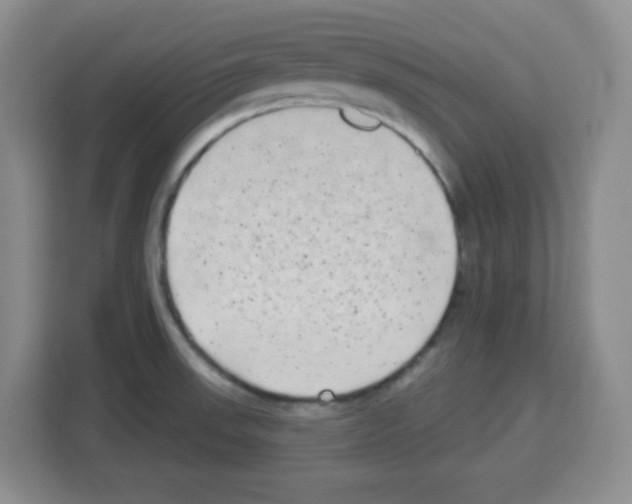 X0000113271523200910221049