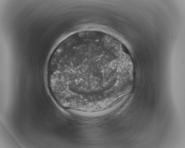 X0000113271525200910221049