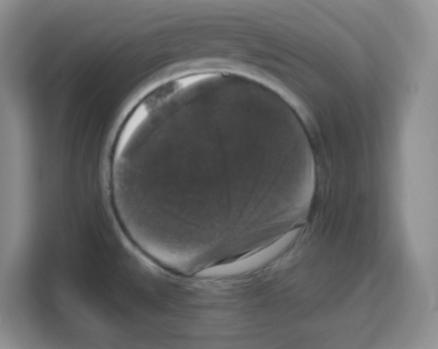 X0000113271527200910221049