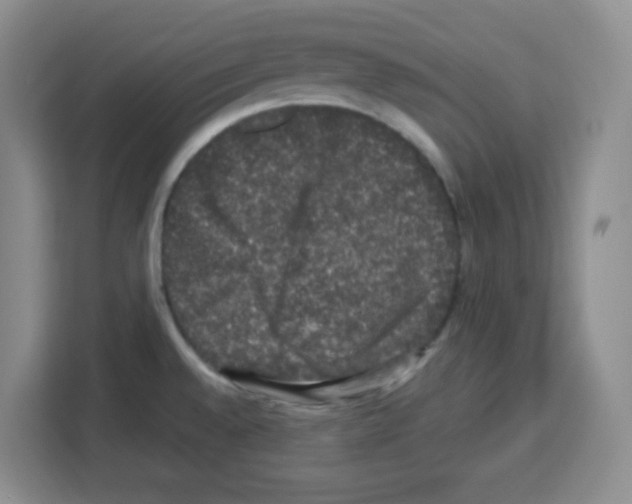 X0000113271528200910221049