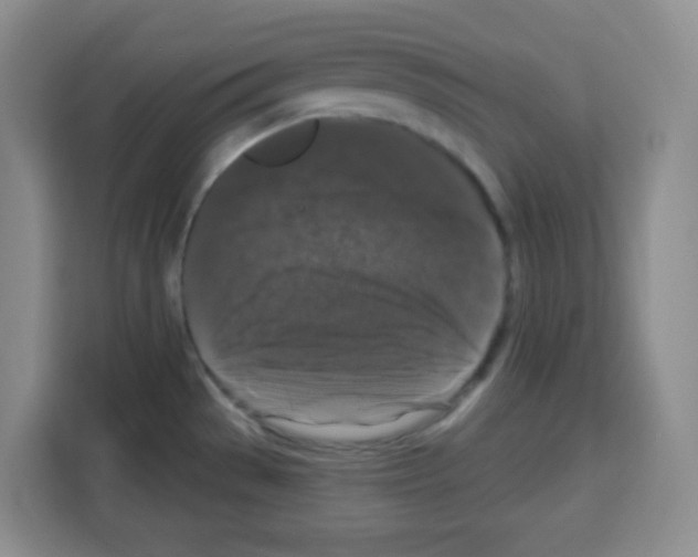 X0000113271529200910221049