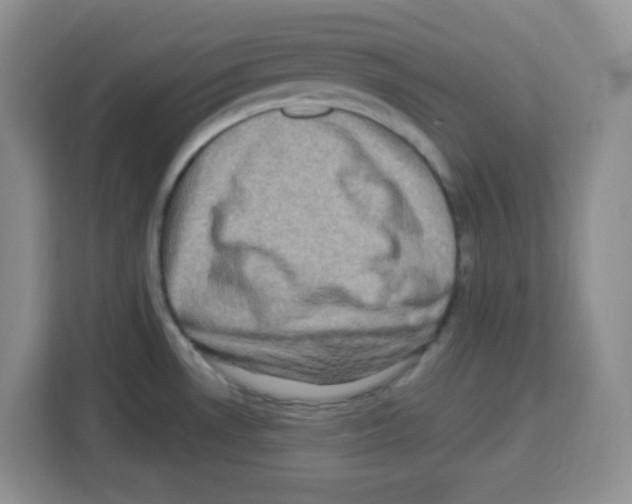 X0000113271530200910221049