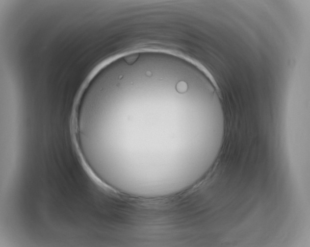 X0000113271531200910221049