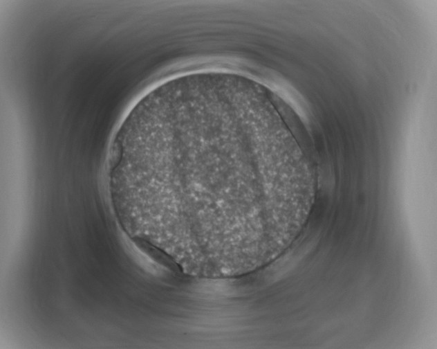 X0000113271532200910221049