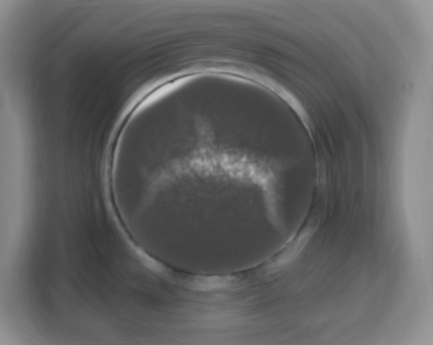 X0000113271533200910221049