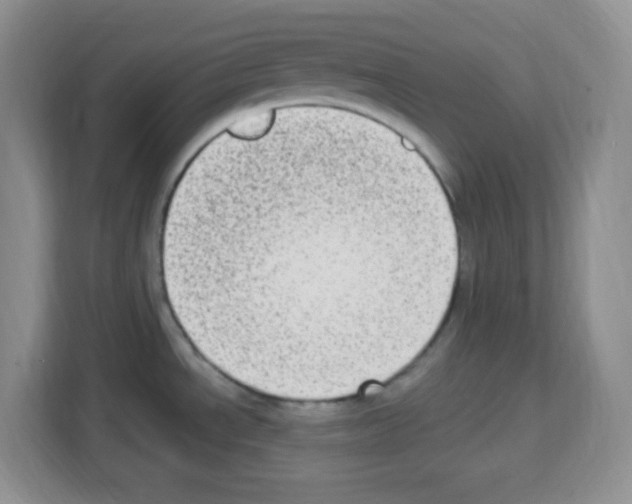 X0000113271534200910221049