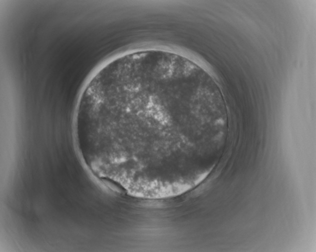 X0000113271536200910221049