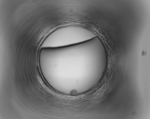 X0000113280002200909140952