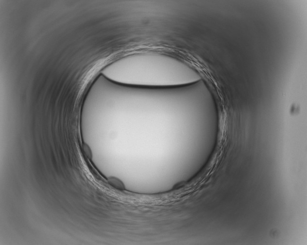 X0000113280003200909140952