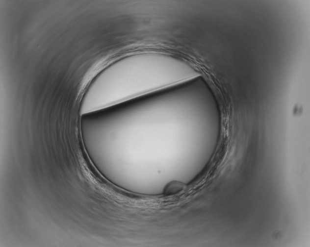 X0000113280004200909140952