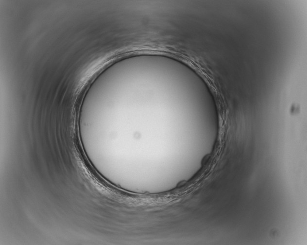 X0000113280005200909140952