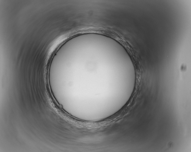 X0000113280006200909140952