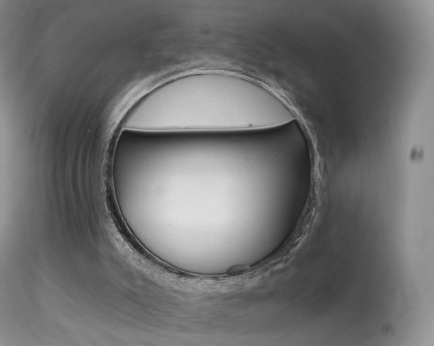 X0000113280007200909140952