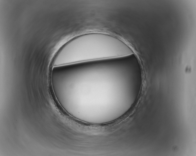 X0000113280008200909140952