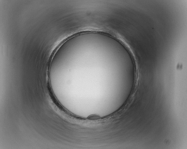 X0000113280011200909140951