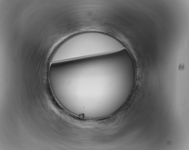 X0000113280012200909140951