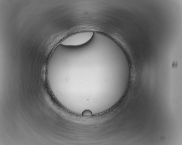 X0000113280014200909140951