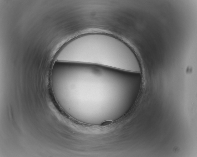 X0000113280015200909140951