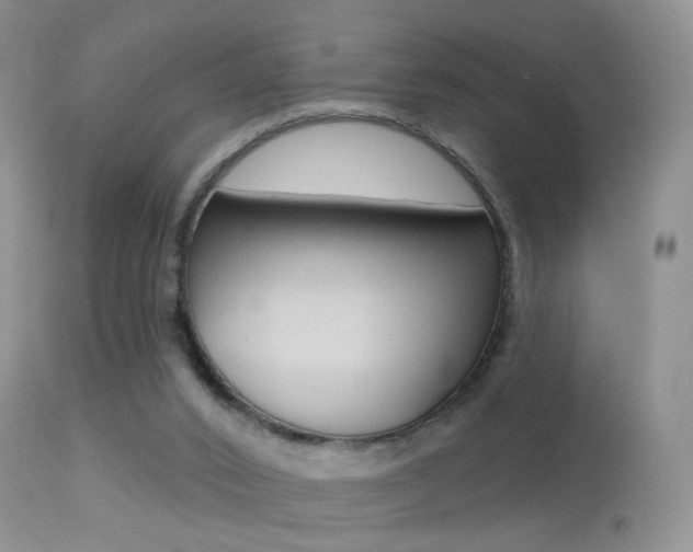 X0000113280016200909140951