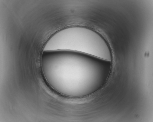 X0000113280017200909140951