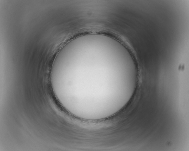 X0000113280018200909140951