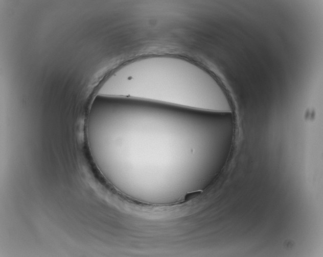 X0000113280019200909140951