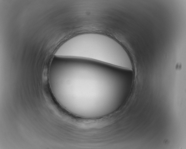 X0000113280021200909140951